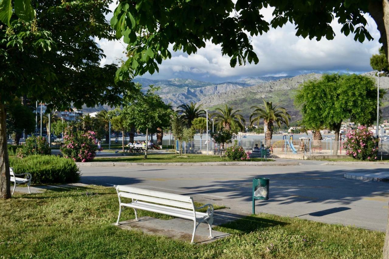 Olive Tree Apartmán